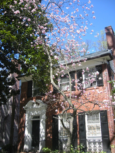 Macomb Street